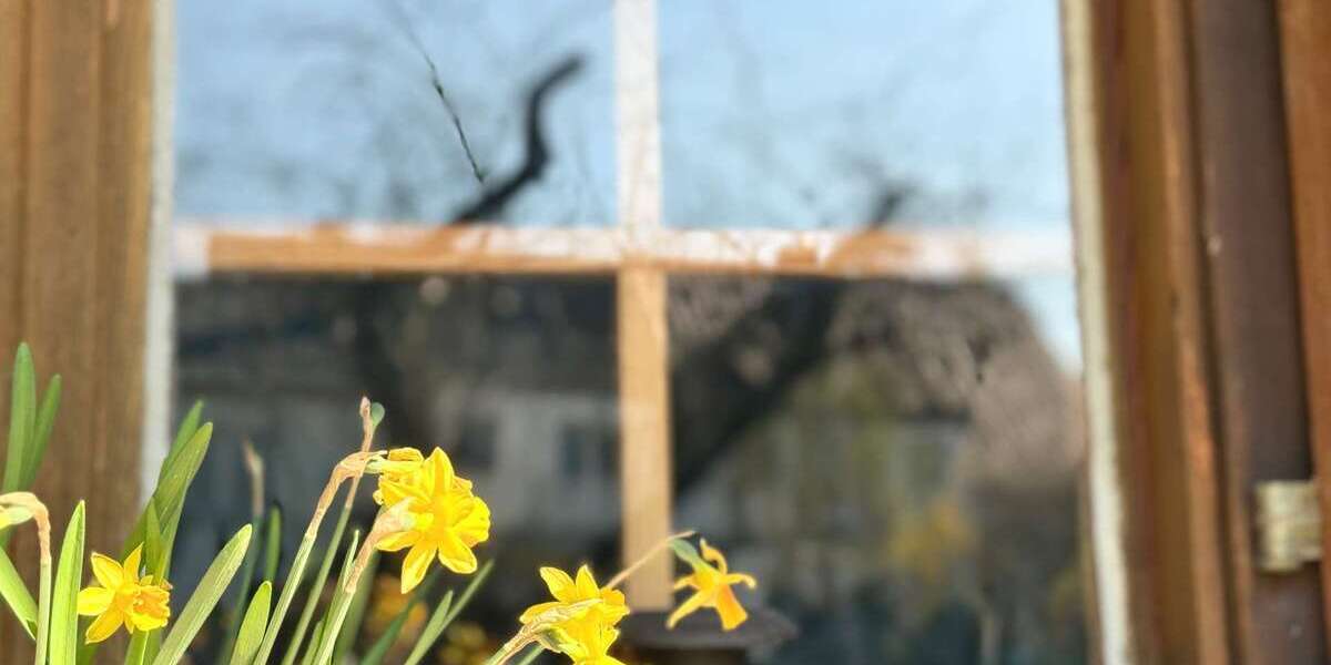 Einfamilienhaus Erwitte - 6 Zimmer, 180 m&sup2;, 349.900&euro; | Angebot:25906234