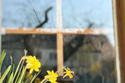 Haus Erwitte - 6 Zimmer, 180 m&sup2;, 349.900&euro; | Angebot:25906234