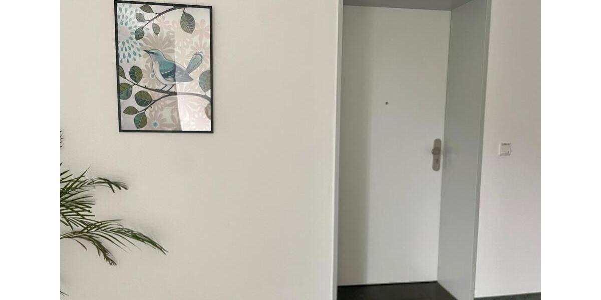 Etagenwohnung Erwitte - 2 Zimmer, 55 m&sup2;, 800&euro; | Angebot:26040057