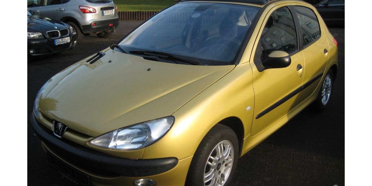 Peugeot 206 113.600 km 2.690 &euro; Warstein 59581