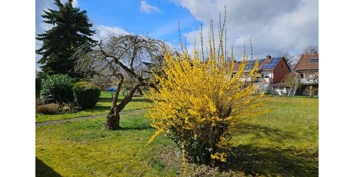 Einfamilienhaus Büren - 7 Zimmer, 160 m&sup2;, 335.000&euro; | Angebot:25861538