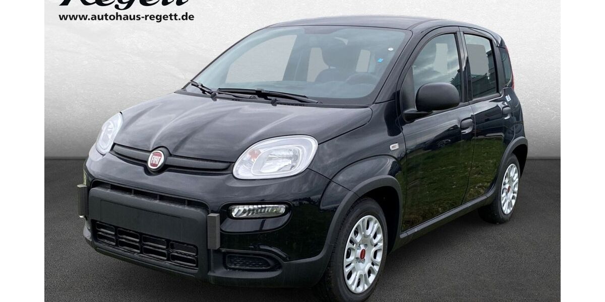 Fiat Panda 14.000 km 14.990 &euro; Delbrück-Westenholz 33129