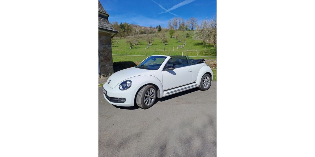 VW Beetle 59.300 km 13.199 &euro; Langenberg 33449