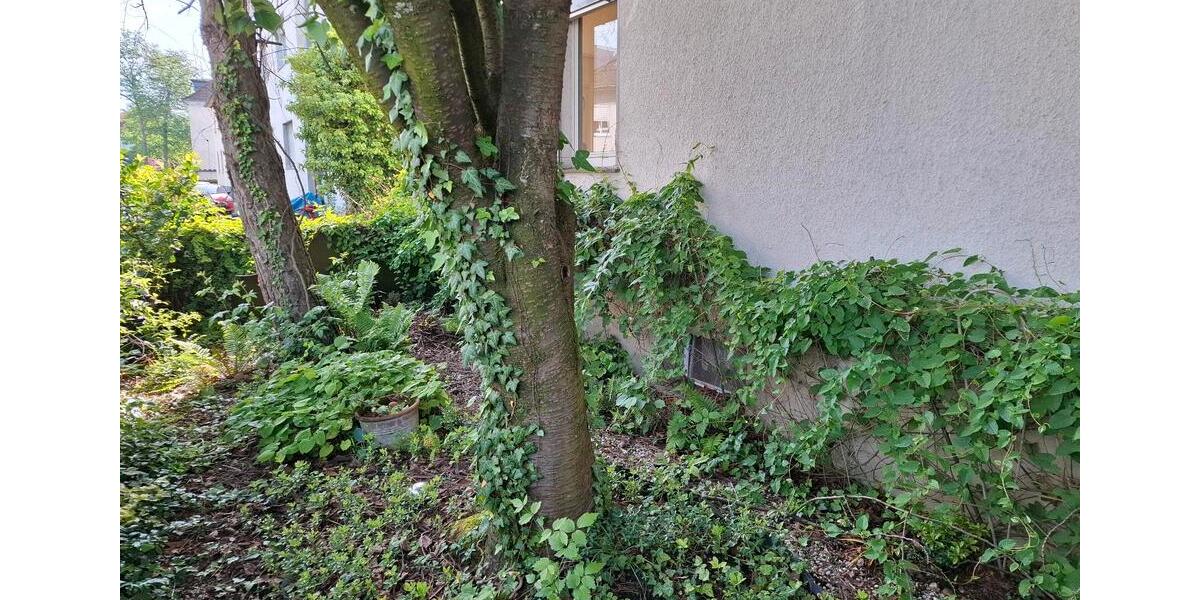 Erdgeschoßwohnung Paderborn Univiertel - 3 Zimmer, 83 m&sup2;, 850&euro; | Angebot:26676652