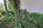 Erdgeschoßwohnung Paderborn Univiertel - 3 Zimmer, 83 m&sup2;, 850&euro; | Angebot:26676652