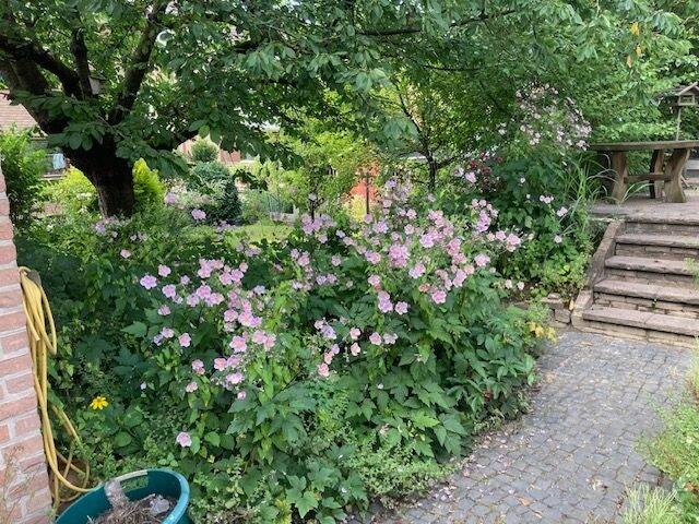 Doppelhaushälfte Paderborn Kernstadt - 7 Zimmer, 170 m&sup2;, 399.900&euro; | Angebot:25686892