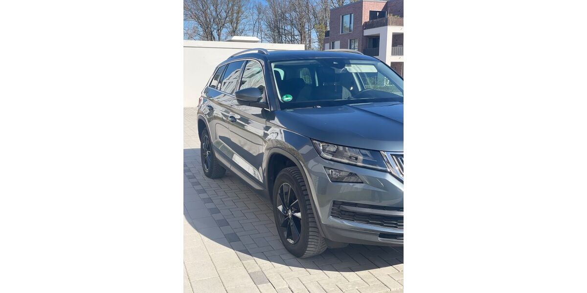 Skoda Kodiaq 194.000 km 18.199 &euro; Gütersloh 33330