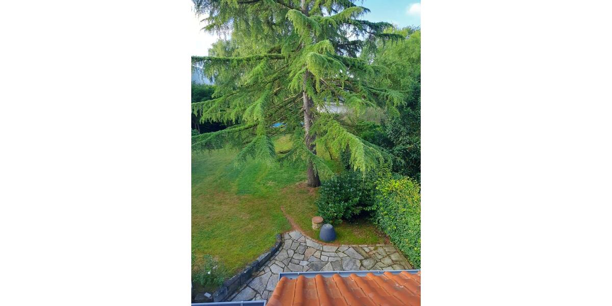 Einfamilienhaus Rheda-Wiedenbrück Wiedenbrück - 11 Zimmer, 280 m&sup2;, 599.000&euro; | Angebot:25959785