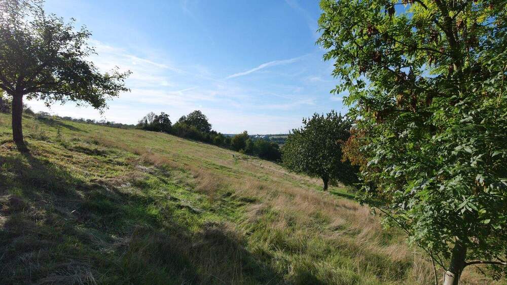 Grundstück Büren Wewelsburg - 70.000&euro; | Angebot:25688049