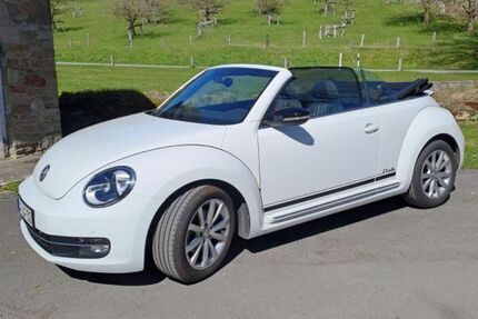 VW Beetle 59.300 km 13.199 &euro; Langenberg 33449