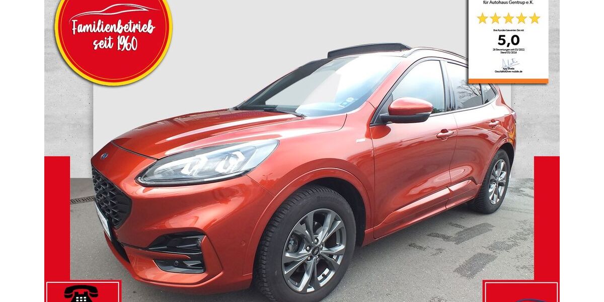 Ford Kuga 70.800 km 23.950 &euro; Langenberg 33449