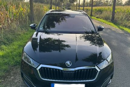Skoda Octavia 91.300 km 22.500 &euro; Paderborn 33106