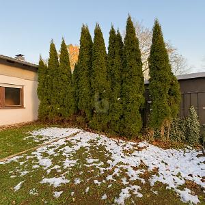 MÖHNESEEENTKERNTES HAUS MIT SEE-NÄHE - Einfamilienhaus Möhnesee | Angebot:26120021