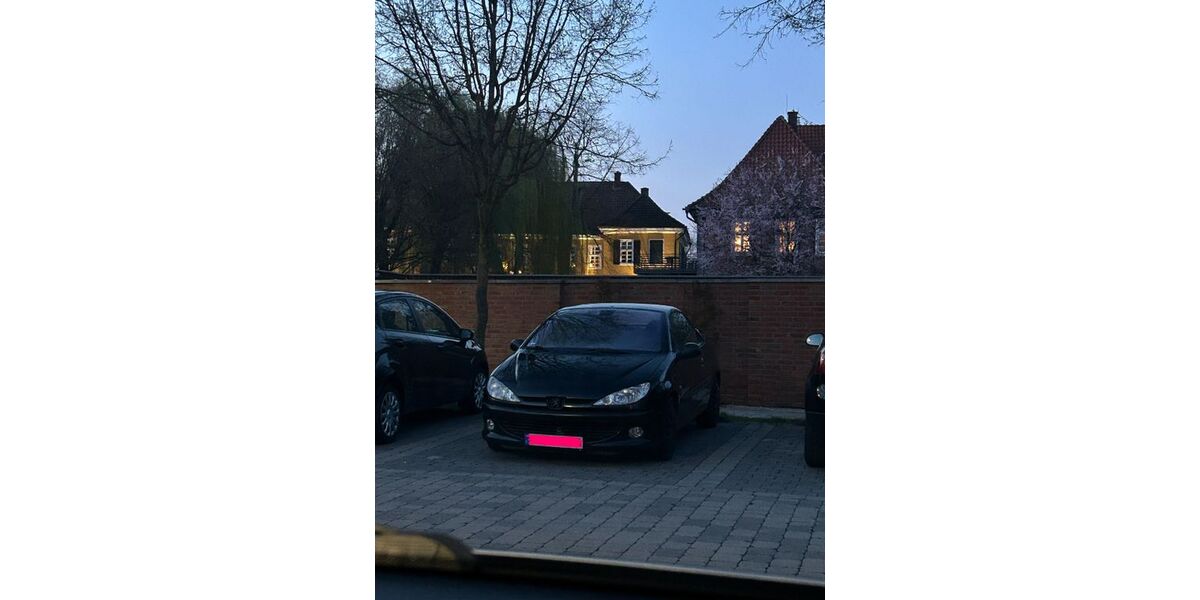 Peugeot 206 206.000 km 1.100 &euro; Rietberg 33397