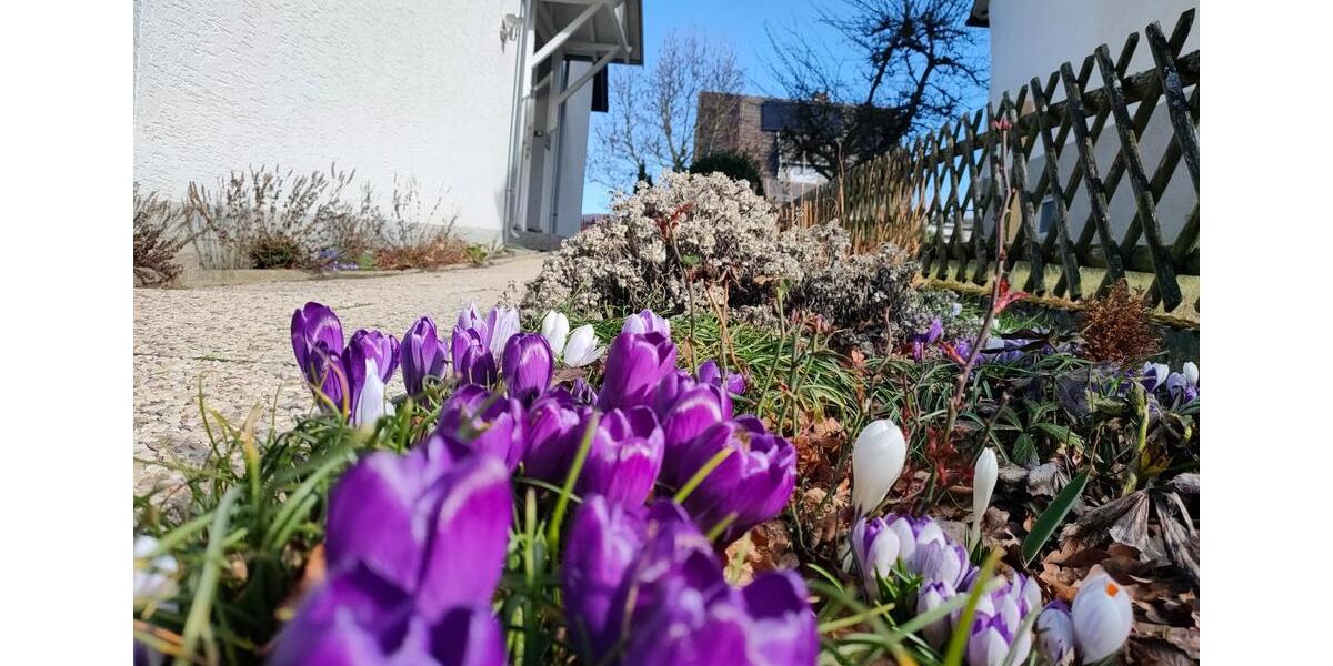 Dachgeschoßwohnung Warstein - 5 Zimmer, 100 m&sup2;, 900&euro; | Angebot:25614570