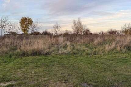 Grundstück Langenberg - 330.000&euro; | Angebot:25824035