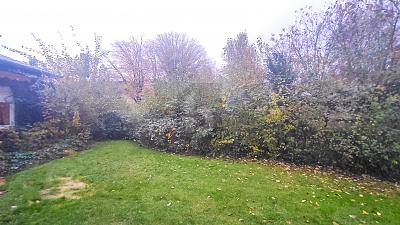 SELTENE GRÜNE OASE IN BESTLAGE - Grundstück Gütersloh | Angebot:26029680