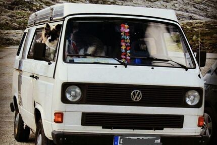 VW T3 andere 289.495 km 8.000 &euro; Soest 59494