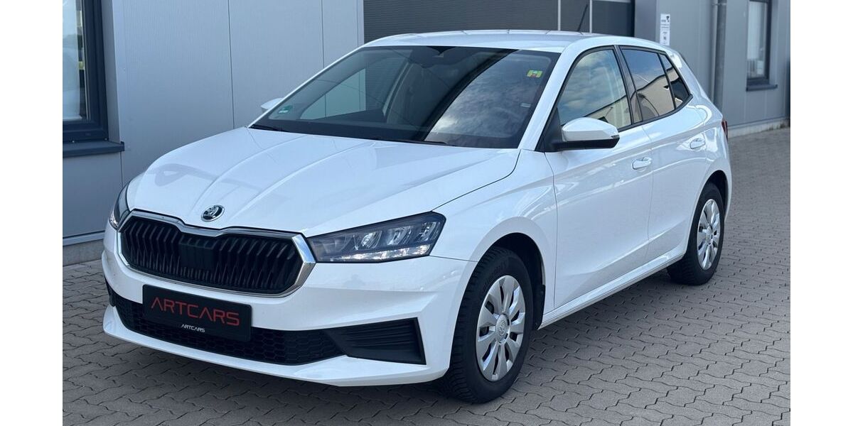 Skoda Fabia 60.996 km 15.900 &euro; Warstein 59581