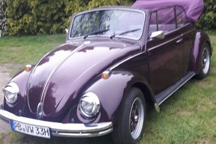 VW Käfer 50.000 km 14.990 &euro; Delbrück 33129