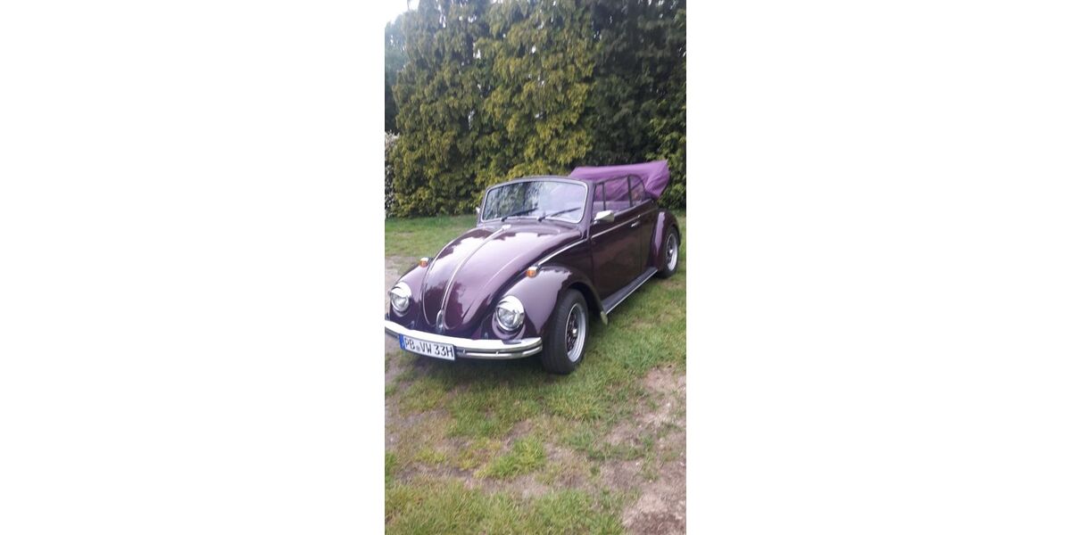 VW Käfer 50.000 km 14.990 &euro; Delbrück 33129