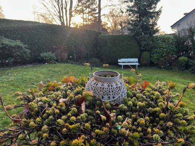 Einfamilienhaus Erwitte - 7 Zimmer, 170 m&sup2;, 290.000&euro; | Angebot:25769960